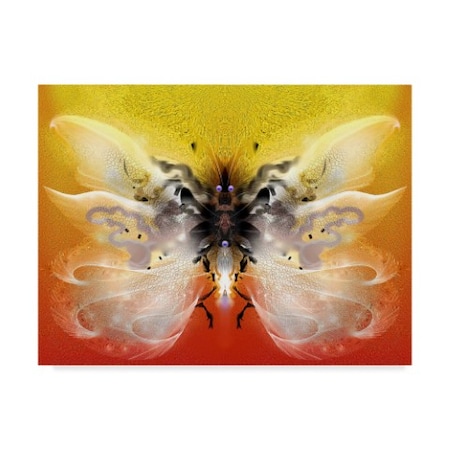 RUNA 'Fly 1' Canvas Art,14x19